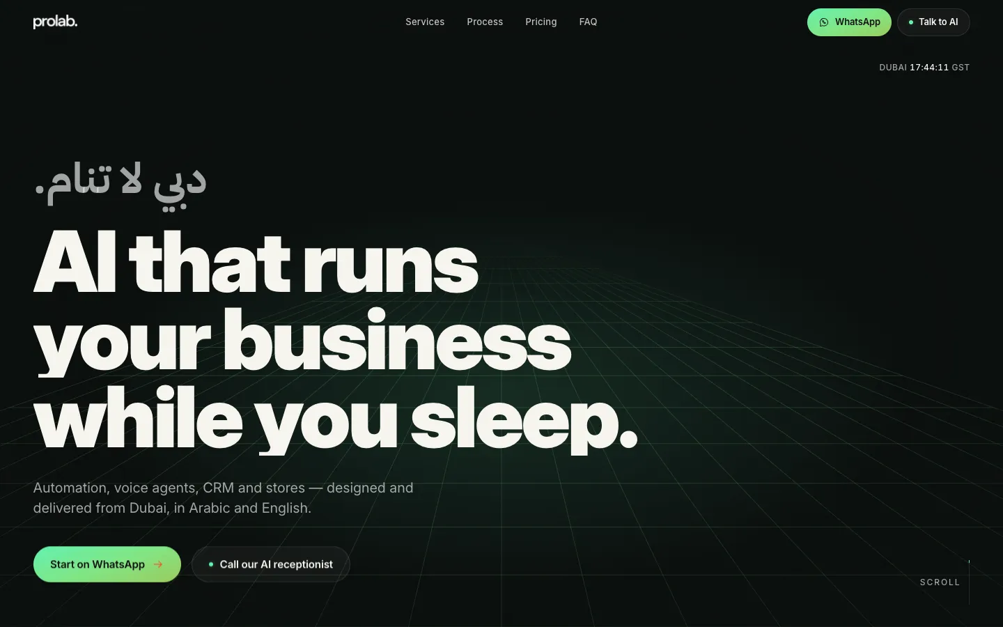 prolab.it.com — this AI-powered website, desktop homepage